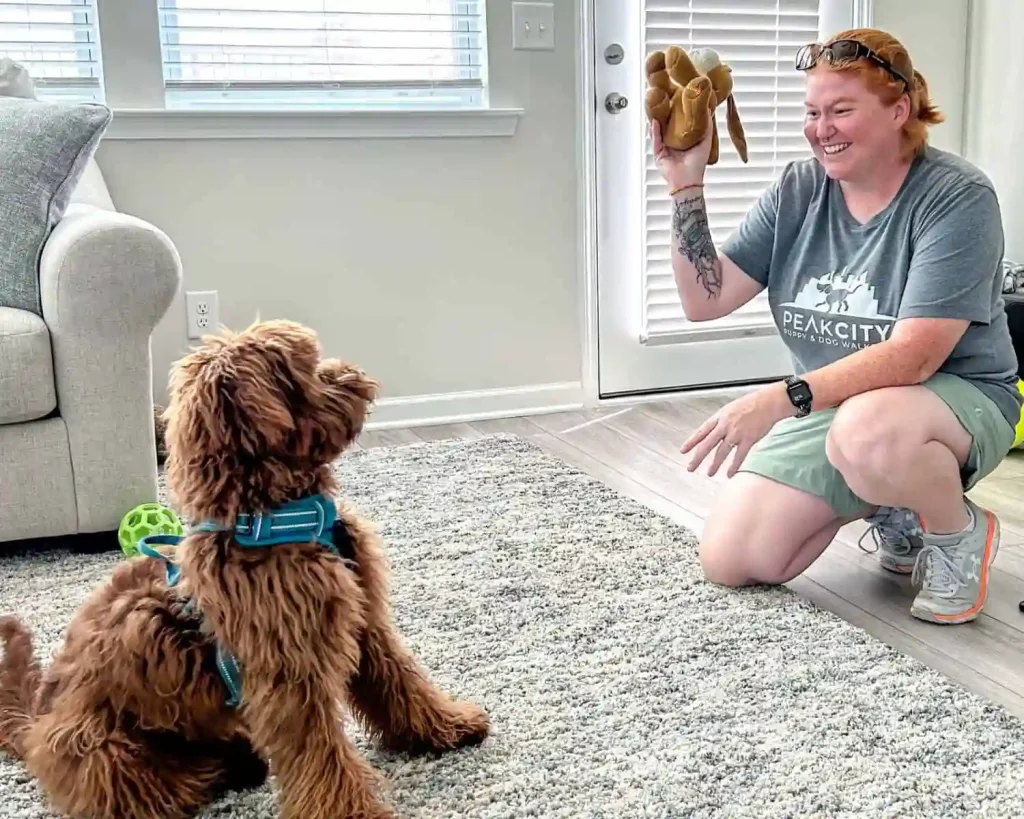 Why Using a Pet Sitter is Better Than Kenneling Your Dog