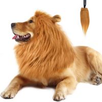 Lion Mane for Dogs