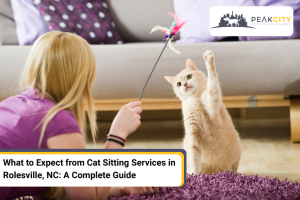 What to Expect from Cat Sitting Services in Rolesville, NC: A Complete Guide | Peak City Puppy