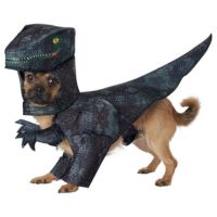 dinosaur