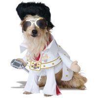 elvis
