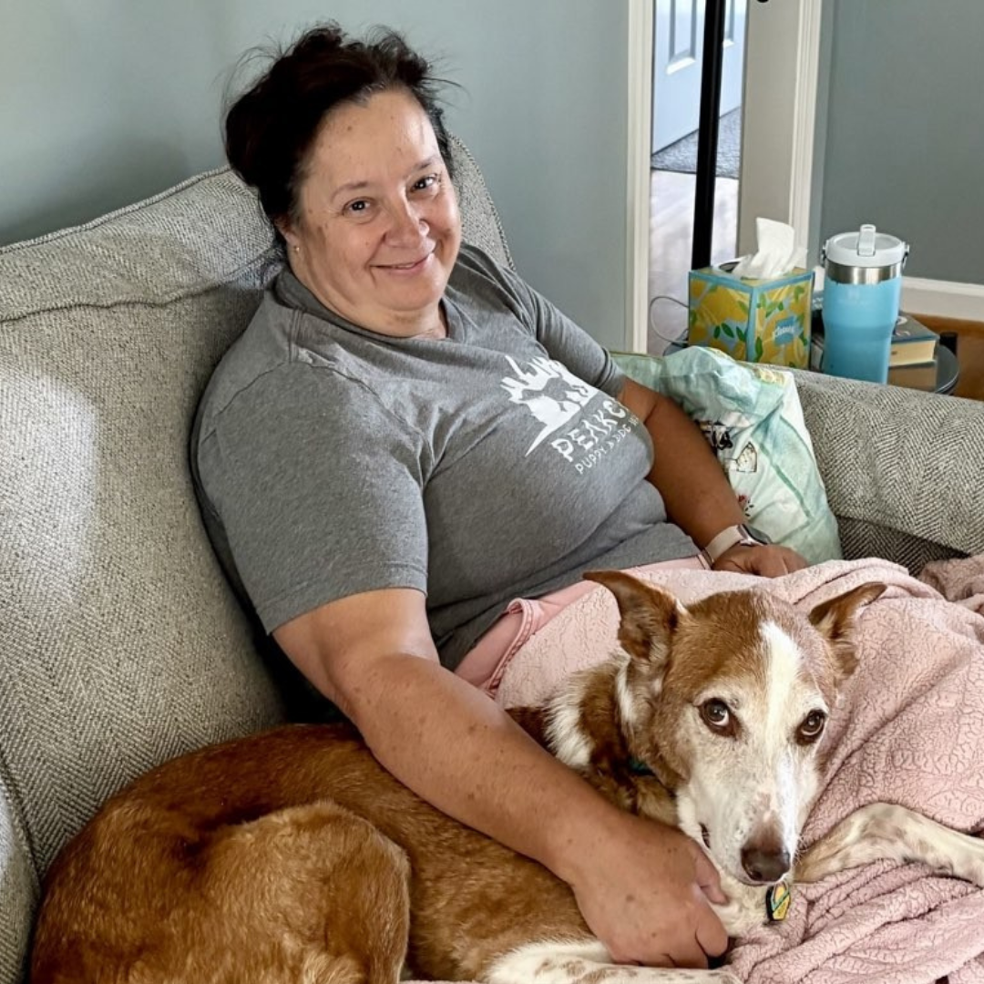 Debbie S Apex in Home Boarding