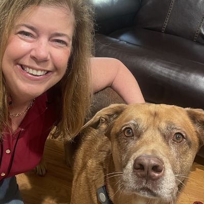 Heather D.- holly pet sitting