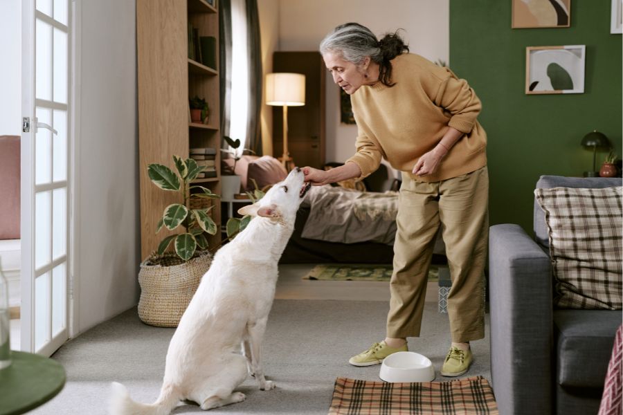 How Long Does My Pet Sit Need to Be?