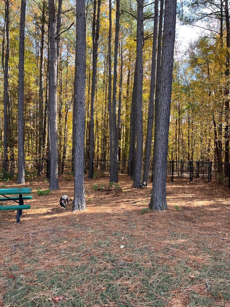 Wake Forest Flaherty Dog Park