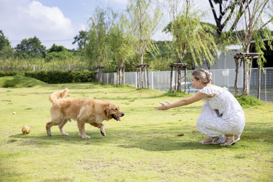 What Pet Sitters Notice That Owners Often Miss