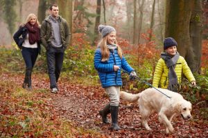 Fall is the Perfect Time to Add a Daily Dog Walk