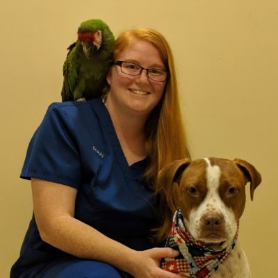 Brandy B. Fuquay Varina Dog Walker and Pet Sitter Brandy B. Fuquay Varina Dog Walker and Pet Sitter