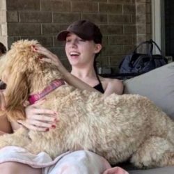 Charlotte P. Holly Spring Pet Sitter and Dog Walker