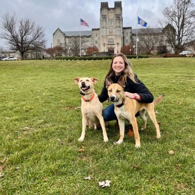 Courtney A. Cary Pet Sitter Courtney A. Cary Pet Sitter