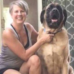 Erin N - Fuquay Varina Pet Sitter and Dog Walker
