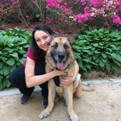 Luisa B. Raleigh Pet Sitter and Dog Walker