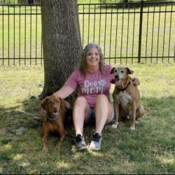 Jennifer G. Wake Forest Pet Sitter and Dog Walker Jennifer G. Wake Forest Pet Sitter and Dog Walker